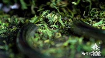 国产柳杉加工工艺视频大全,国产柳杉加工视频大全解析